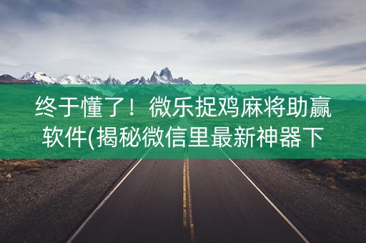 终于懂了！微乐捉鸡麻将助赢软件(揭秘微信里最新神器下载)
