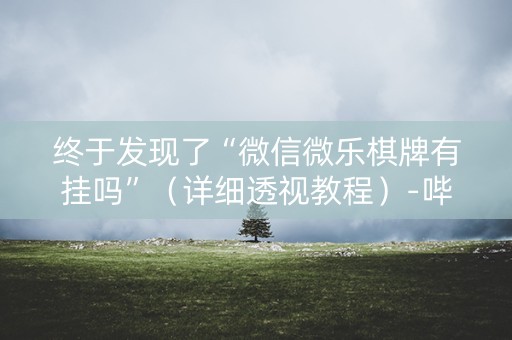 终于发现了“微信微乐棋牌有挂吗”（详细透视教程）-哔哩哔哩
