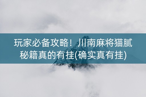 玩家必备攻略！川南麻将猫腻秘籍真的有挂(确实真有挂)
