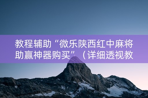 教程辅助“微乐陕西红中麻将助赢神器购买”（详细透视教程）-哔哩哔哩