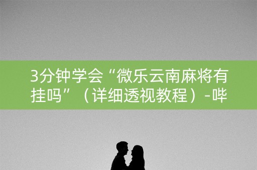 3分钟学会“微乐云南麻将有挂吗”（详细透视教程）-哔哩哔哩