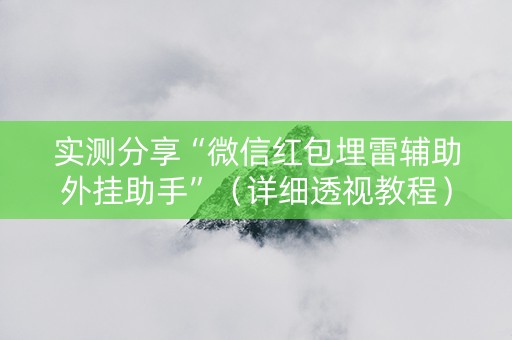 实测分享“微信红包埋雷辅助外挂助手”（详细透视教程）-哔哩哔哩