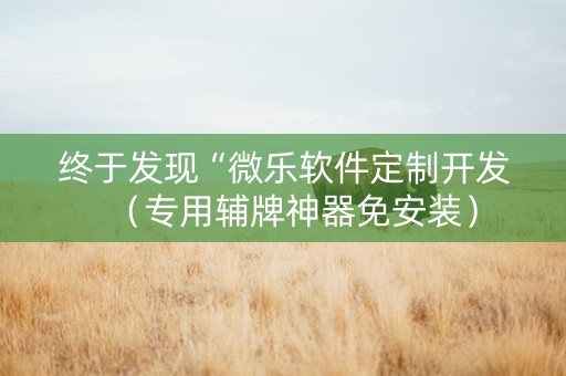 终于发现“微乐软件定制开发（专用辅牌神器免安装）