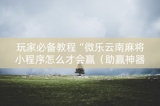 玩家必备教程“微乐云南麻将小程序怎么才会赢（助赢神器通用版）