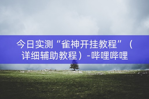 今日实测“雀神开挂教程”（详细辅助教程）-哔哩哔哩