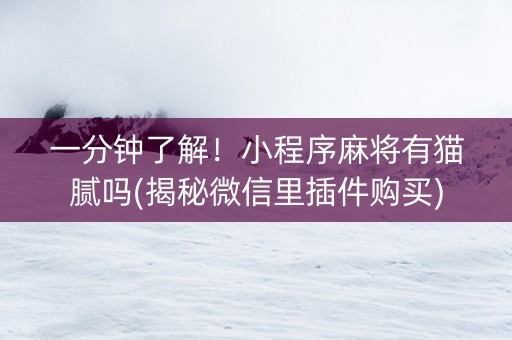 一分钟了解！小程序麻将有猫腻吗(揭秘微信里插件购买)