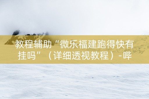 教程辅助“微乐福建跑得快有挂吗”（详细透视教程）-哔哩哔哩