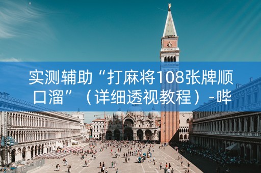 实测辅助“打麻将108张牌顺口溜”（详细透视教程）-哔哩哔哩