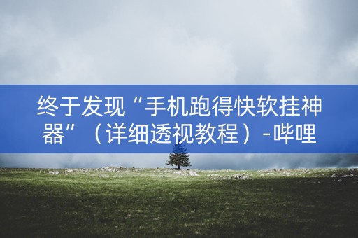 终于发现“手机跑得快软挂神器”（详细透视教程）-哔哩哔哩