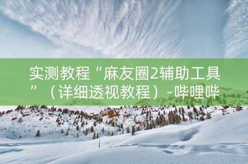 实测教程“麻友圈2辅助工具”（详细透视教程）-哔哩哔哩