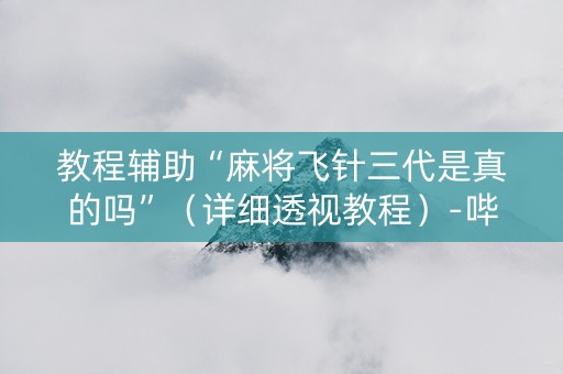 教程辅助“麻将飞针三代是真的吗”（详细透视教程）-哔哩哔哩