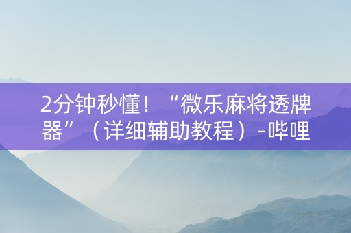 2分钟秒懂！“微乐麻将透牌器”（详细辅助教程）-哔哩哔哩
