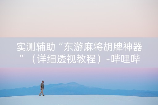 实测辅助“东游麻将胡牌神器”（详细透视教程）-哔哩哔哩