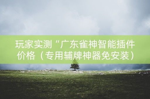 玩家实测“广东雀神智能插件价格（专用辅牌神器免安装）