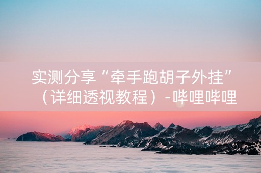 实测分享“牵手跑胡子外挂”（详细透视教程）-哔哩哔哩