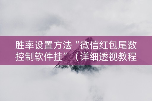 胜率设置方法“微信红包尾数控制软件挂”（详细透视教程）-哔哩哔哩