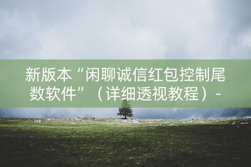 新版本“闲聊诚信红包控制尾数软件”（详细透视教程）-哔哩哔哩