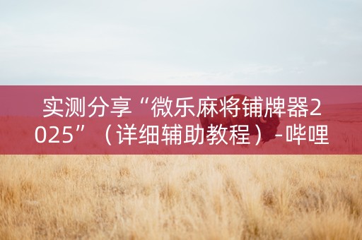 实测分享“微乐麻将铺牌器2025”（详细辅助教程）-哔哩哔哩