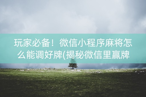 玩家必备！微信小程序麻将怎么能调好牌(揭秘微信里赢牌的技巧)