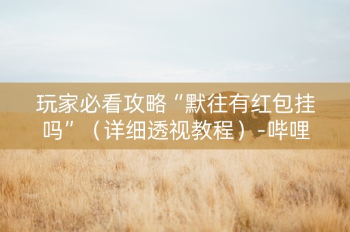 玩家必看攻略“默往有红包挂吗”（详细透视教程）-哔哩哔哩