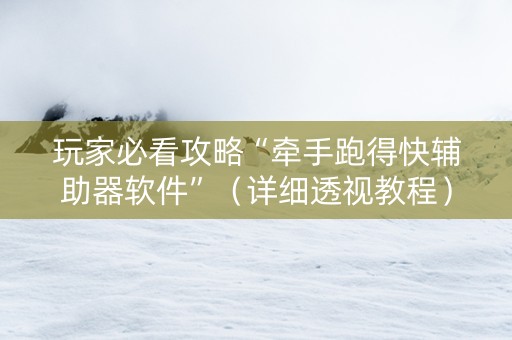 玩家必看攻略“牵手跑得快辅助器软件”（详细透视教程）-哔哩哔哩