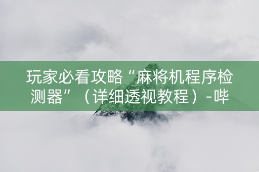 玩家必看攻略“麻将机程序检测器”（详细透视教程）-哔哩哔哩
