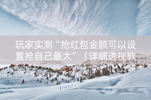 玩家实测“抢红包金额可以设置抢自己最大”（详细透视教程）-哔哩哔哩