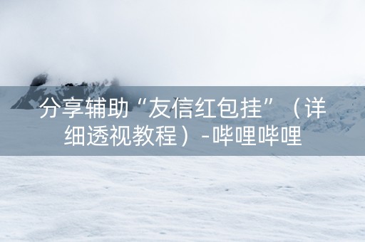 分享辅助“友信红包挂”（详细透视教程）-哔哩哔哩