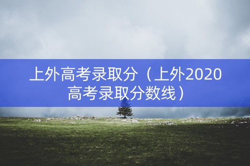 上外高考录取分（上外2020高考录取分数线）