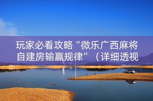 玩家必看攻略“微乐广西麻将自建房输赢规律”（详细透视教程）-哔哩哔哩