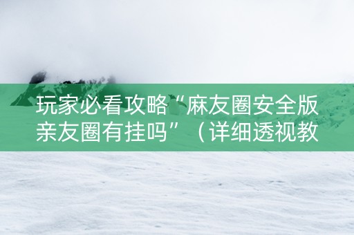 玩家必看攻略“麻友圈安全版亲友圈有挂吗”（详细透视教程）-哔哩哔哩