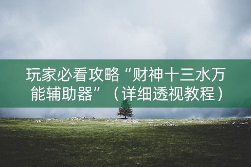 玩家必看攻略“财神十三水万能辅助器”（详细透视教程）-哔哩哔哩