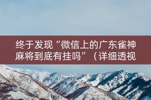 终于发现“微信上的广东雀神麻将到底有挂吗”（详细透视教程）-哔哩哔哩