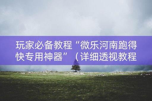 玩家必备教程“微乐河南跑得快专用神器”（详细透视教程）-哔哩哔哩