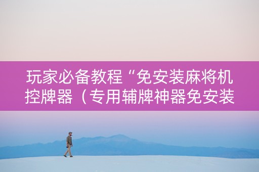 玩家必备教程“免安装麻将机控牌器（专用辅牌神器免安装）