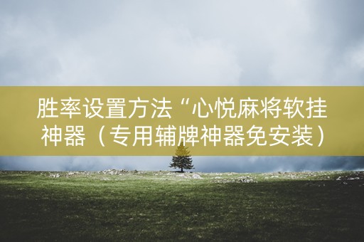 胜率设置方法“心悦麻将软挂神器（专用辅牌神器免安装）