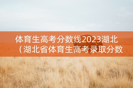体育生高考分数线2023湖北（湖北省体育生高考录取分数线）