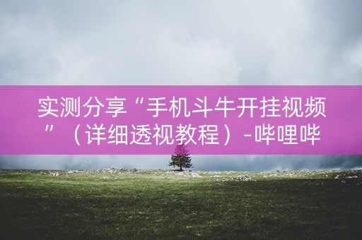 实测分享“手机斗牛开挂视频”（详细透视教程）-哔哩哔哩