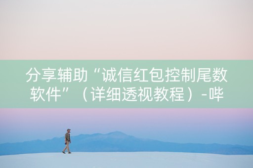 分享辅助“诚信红包控制尾数软件”（详细透视教程）-哔哩哔哩