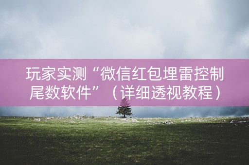 玩家实测“微信红包埋雷控制尾数软件”（详细透视教程）-哔哩哔哩