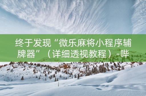 终于发现“微乐麻将小程序辅牌器”（详细透视教程）-哔哩哔哩