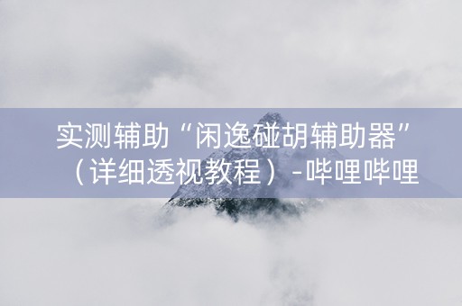 实测辅助“闲逸碰胡辅助器”（详细透视教程）-哔哩哔哩