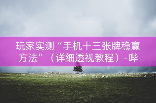 玩家实测“手机十三张牌稳赢方法”（详细透视教程）-哔哩哔哩