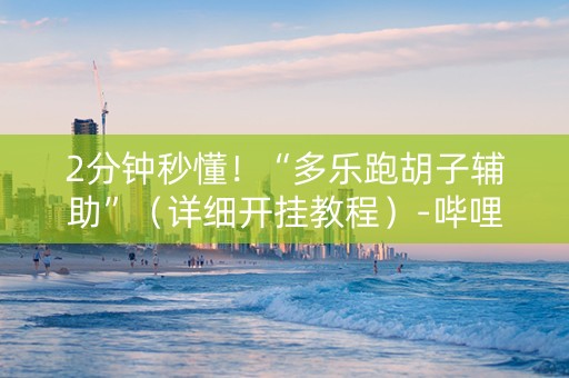 2分钟秒懂！“多乐跑胡子辅助”（详细开挂教程）-哔哩哔哩
