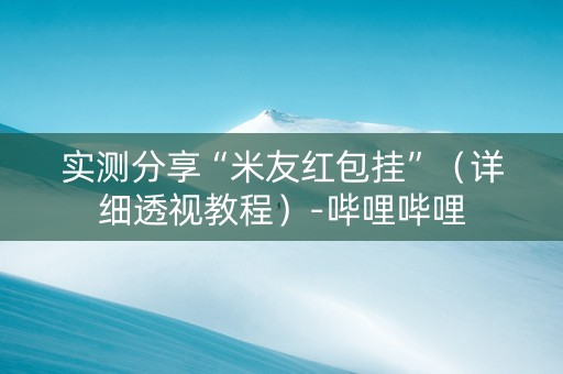 实测分享“米友红包挂”（详细透视教程）-哔哩哔哩