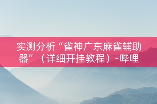 实测分析“雀神广东麻雀辅助器”（详细开挂教程）-哔哩哔哩