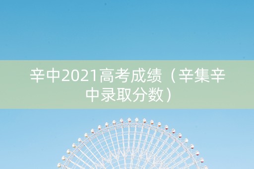 辛中2021高考成绩（辛集辛中录取分数）