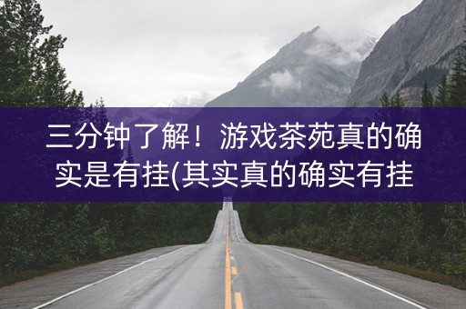 三分钟了解！游戏茶苑真的确实是有挂(其实真的确实有挂)