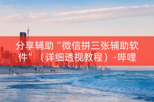 分享辅助“微信拼三张辅助软件”（详细透视教程）-哔哩哔哩