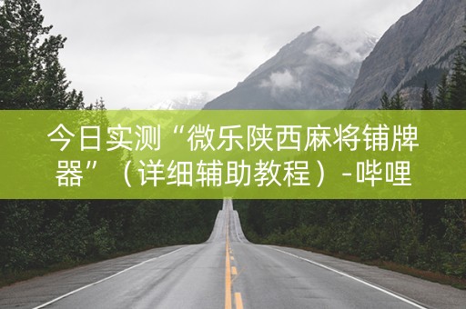 今日实测“微乐陕西麻将铺牌器”（详细辅助教程）-哔哩哔哩